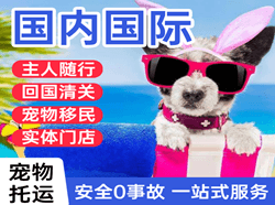 张掖甘州机场快递国际宠物托运 【国